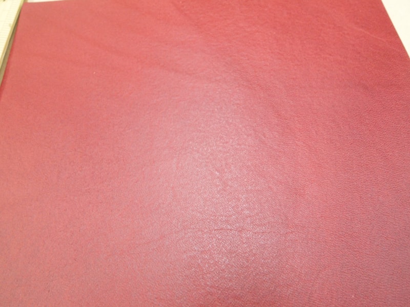 Mjpa111175