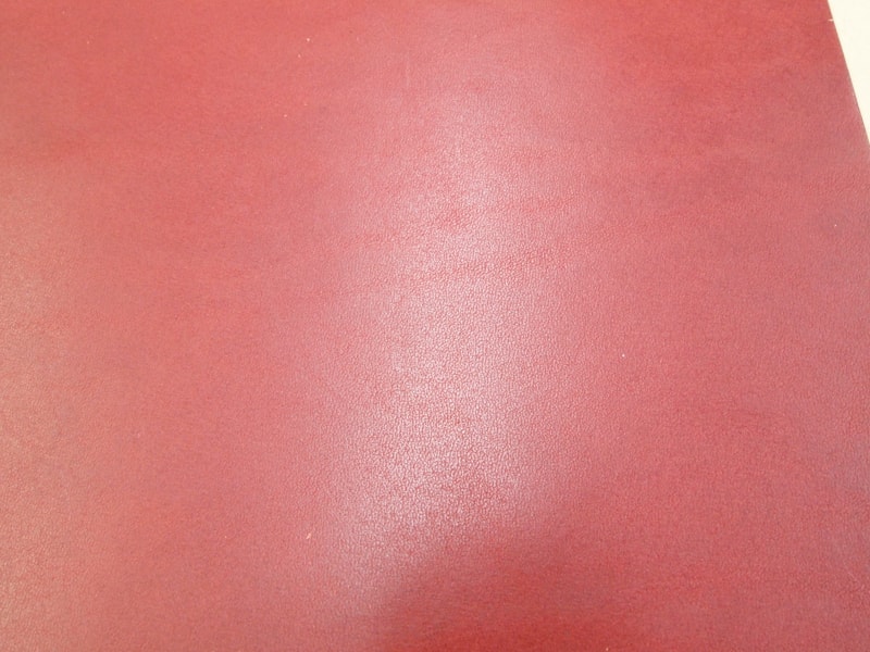 Mjpa111179