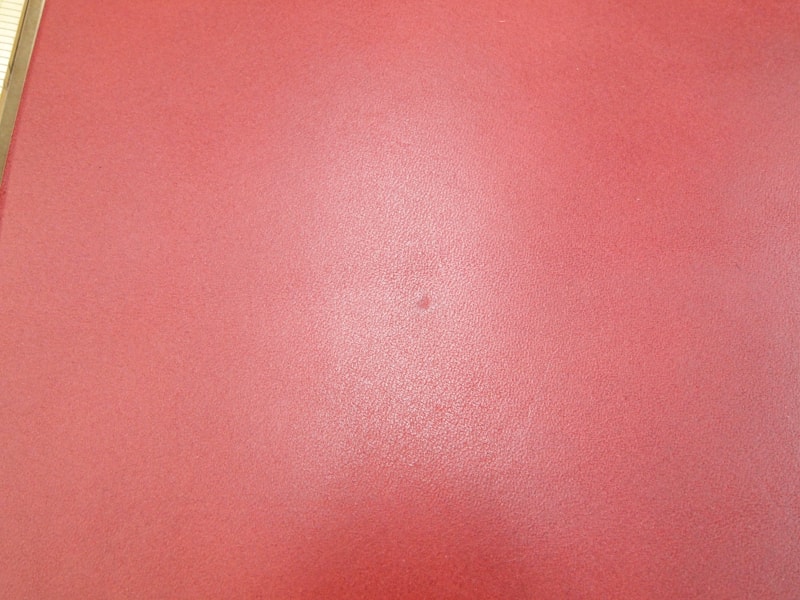 Mjpa111181