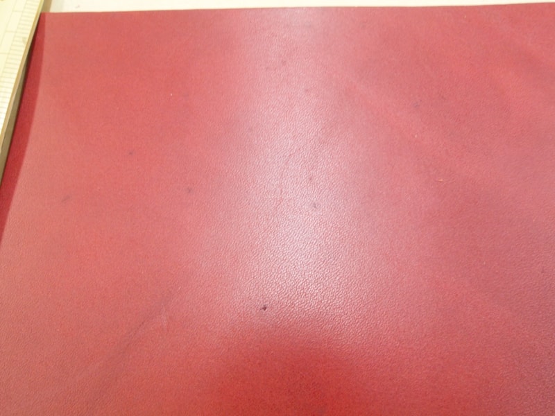 Mjpa111203