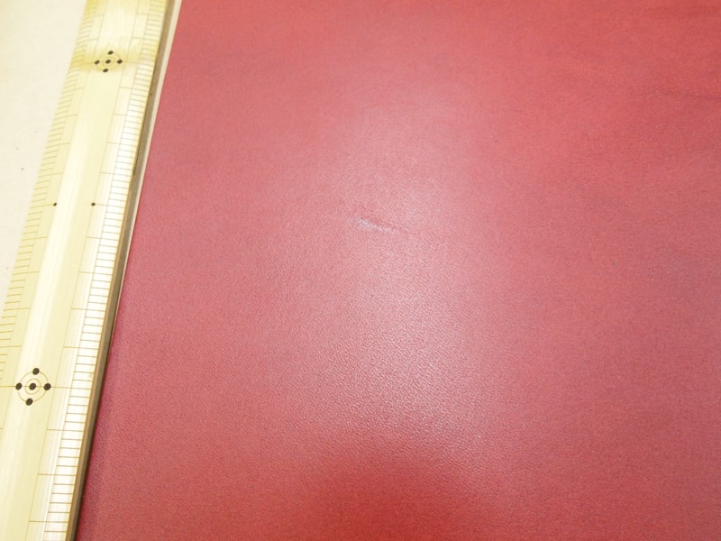 Mjpa111207