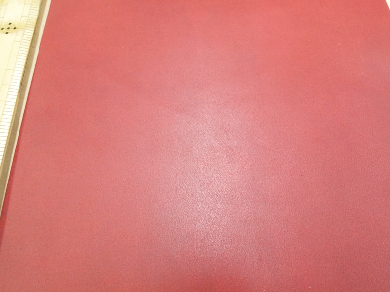 Mjpa111209