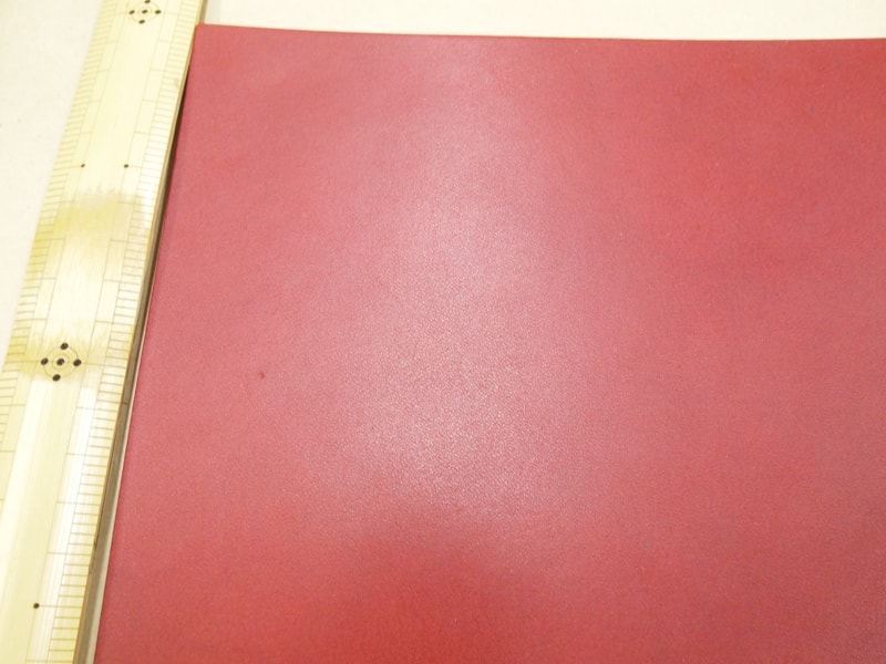 Mjpa111211
