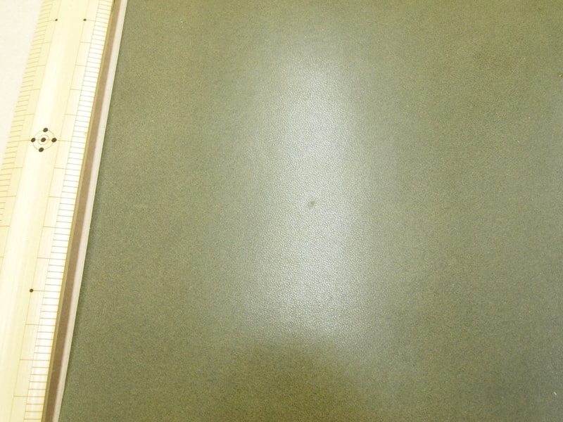 Mjpa111240