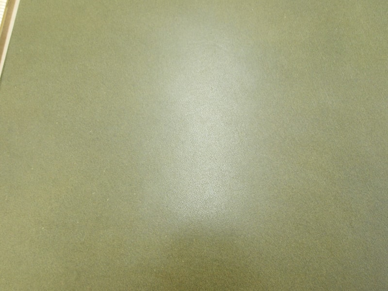 Mjpa111242
