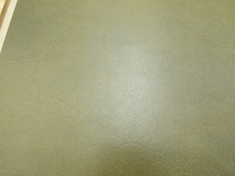 Mjpa111244