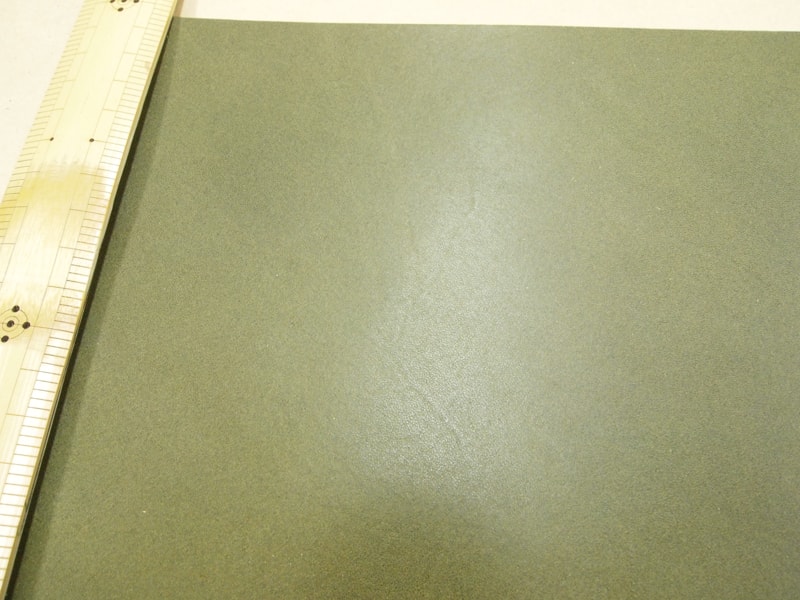 Mjpa111246