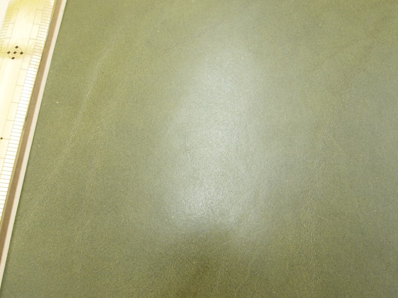 Mjpa111250