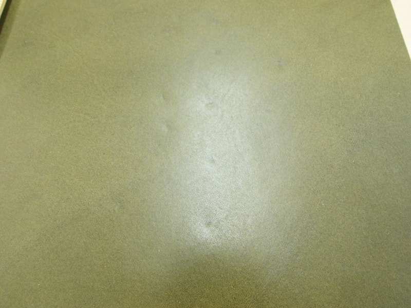 Mjpa111252