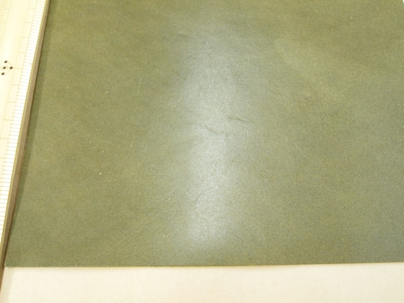 Mjpa111254