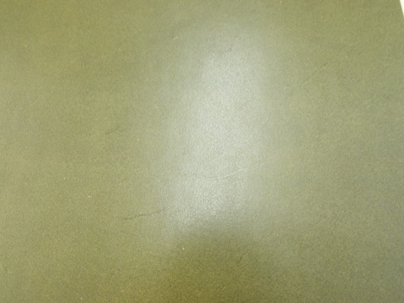 Mjpa111260