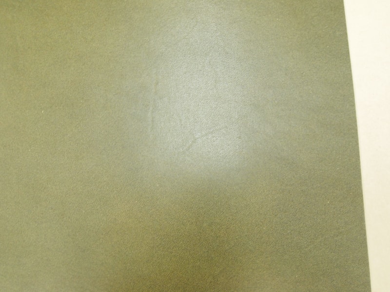 Mjpa111266