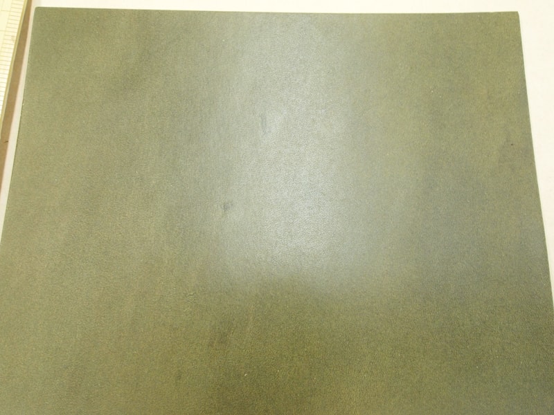 Mjpa111270