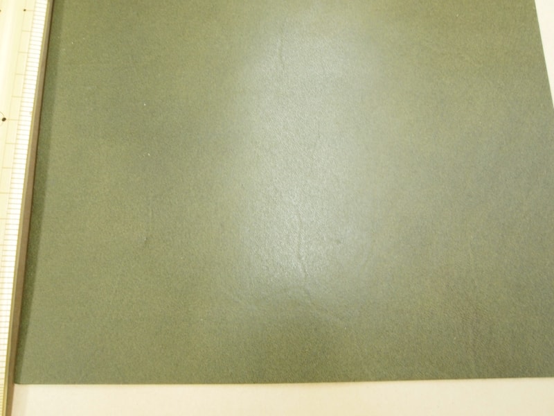 Mjpa111272