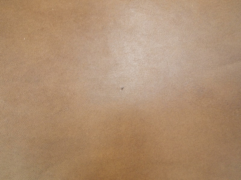 Mjpa111310