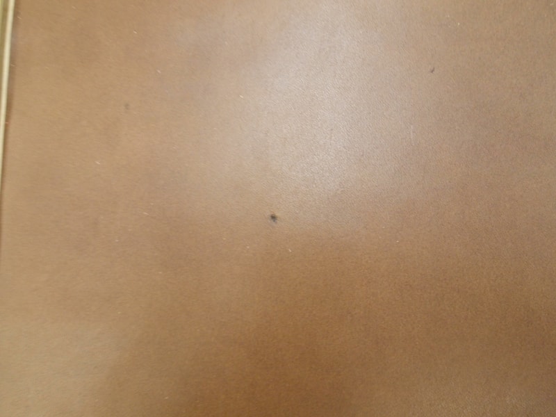 Mjpa111324