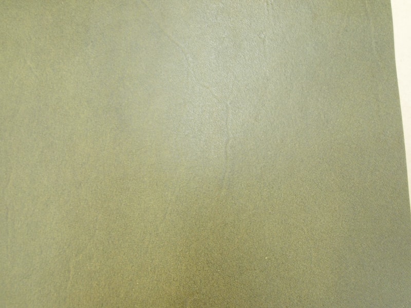 Mjpa111344