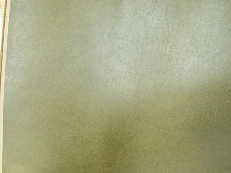 Mjpa111348