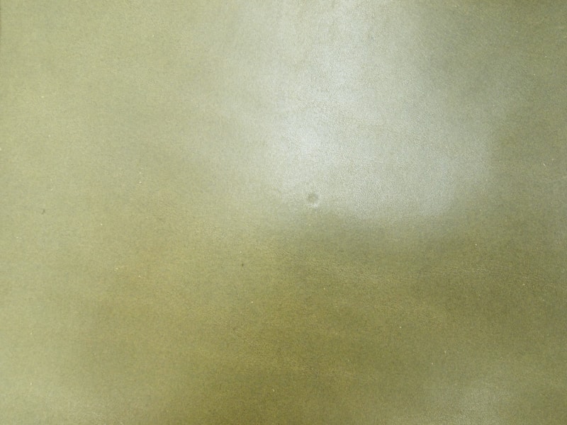 Mjpa111354