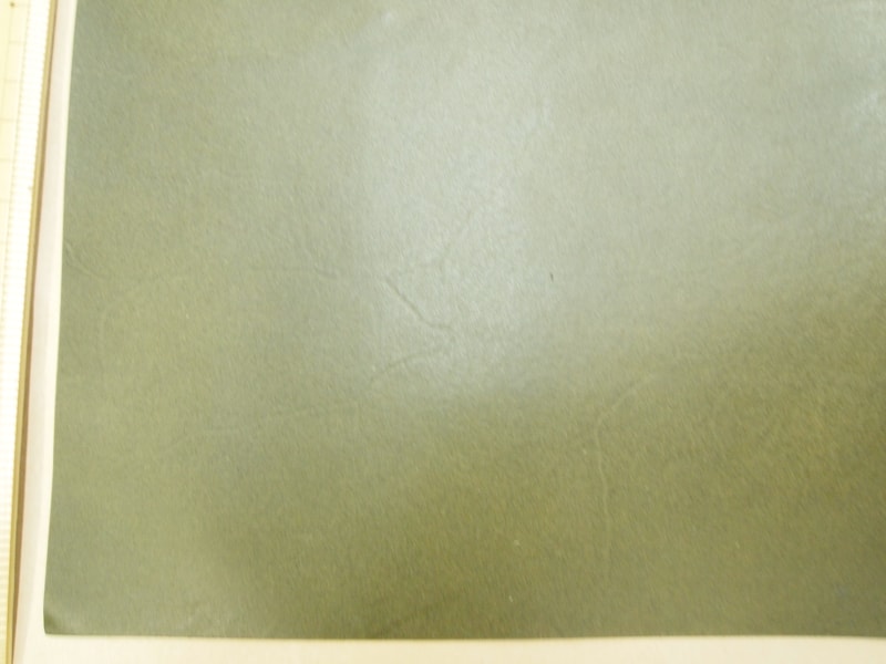 Mjpa111356