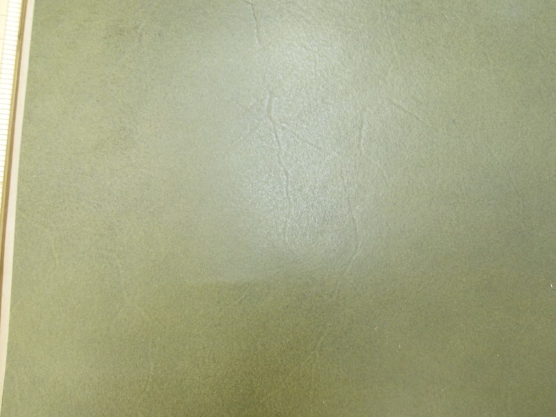 Mjpa111364