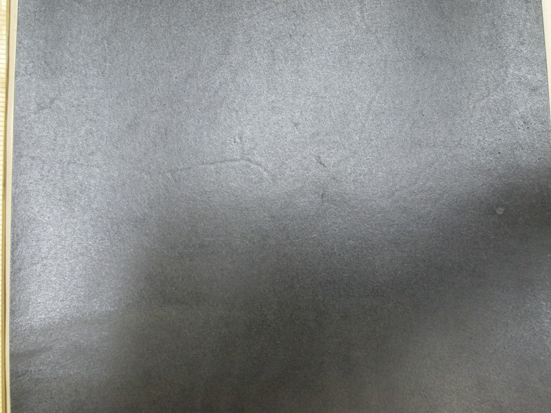Mjpa111409