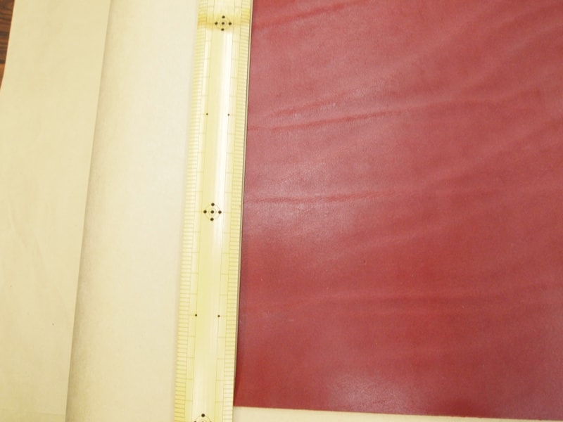 Mjpa111440