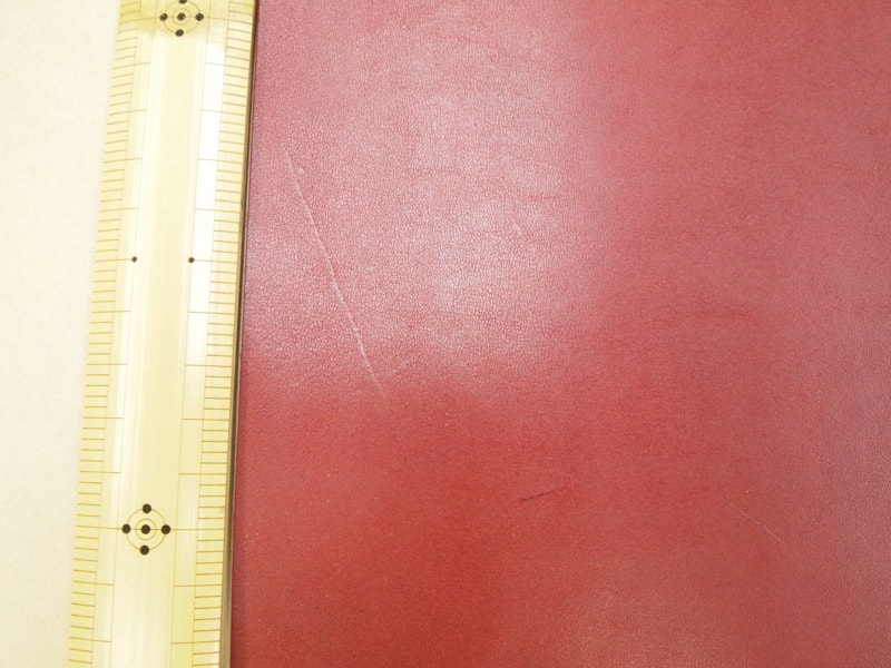 Mjpa111446