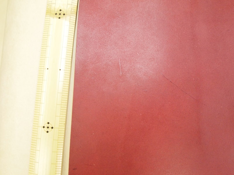 Mjpa111460