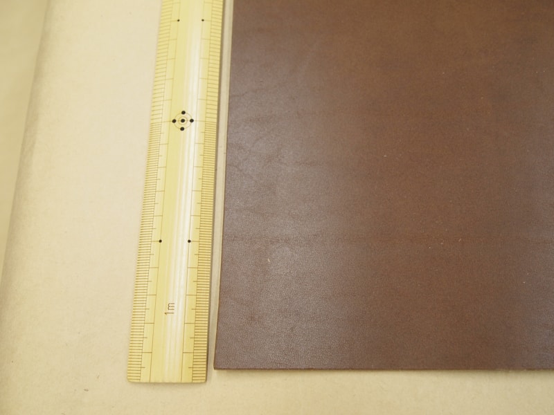 Mjpa181699