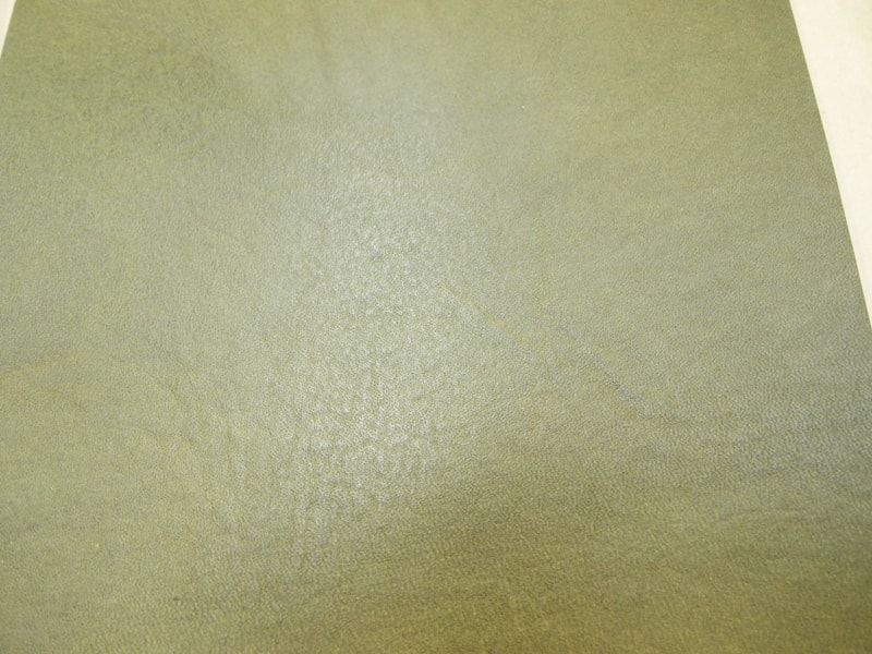 Mjpa181793