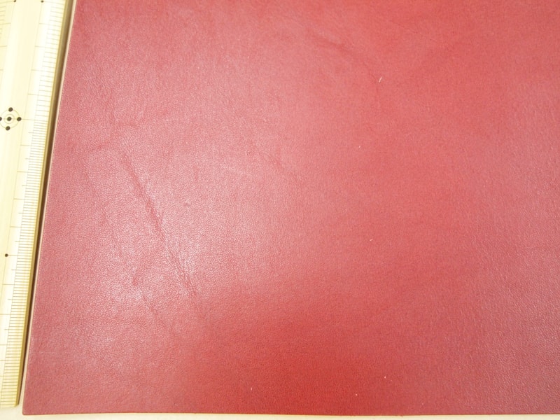 Mjpa181827