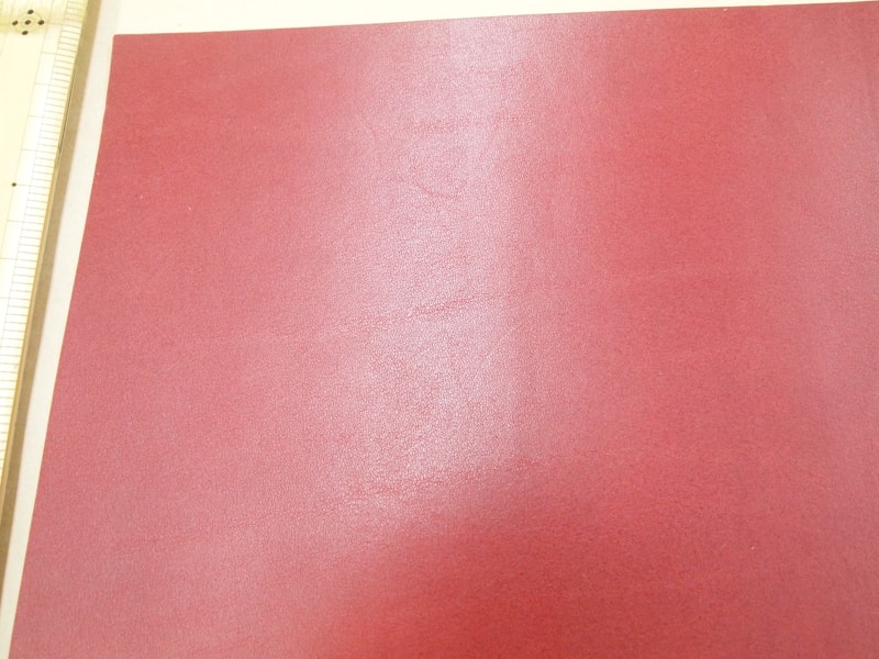 Mjpa181835