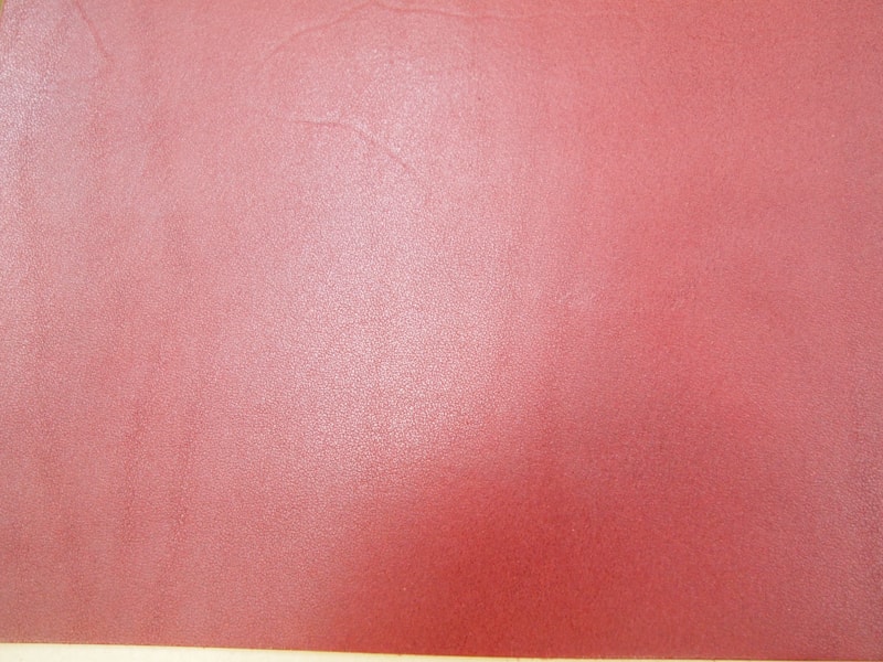 Mjpa181845