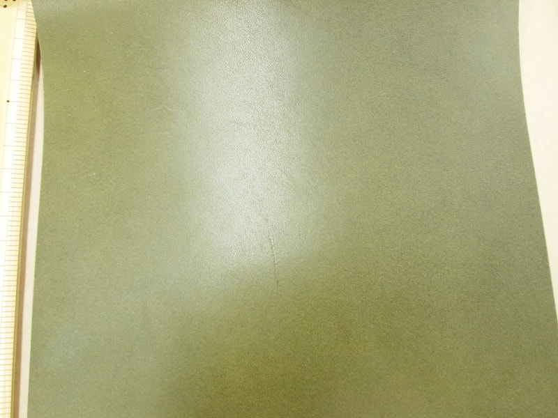 Mjpa182029