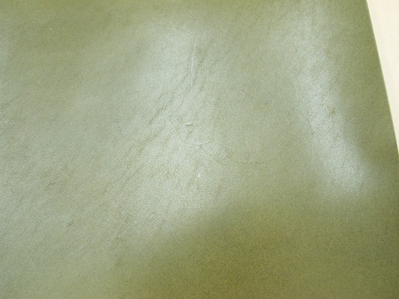 Mjpa182031