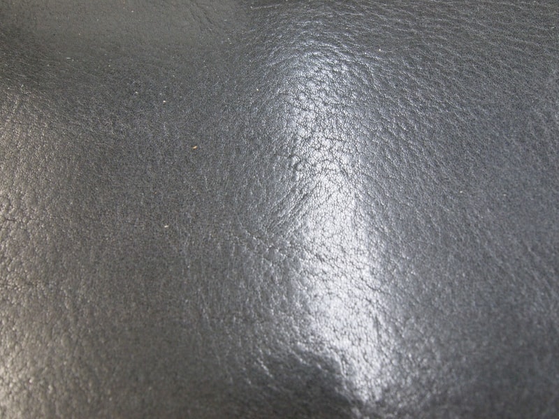 Mjpb012458