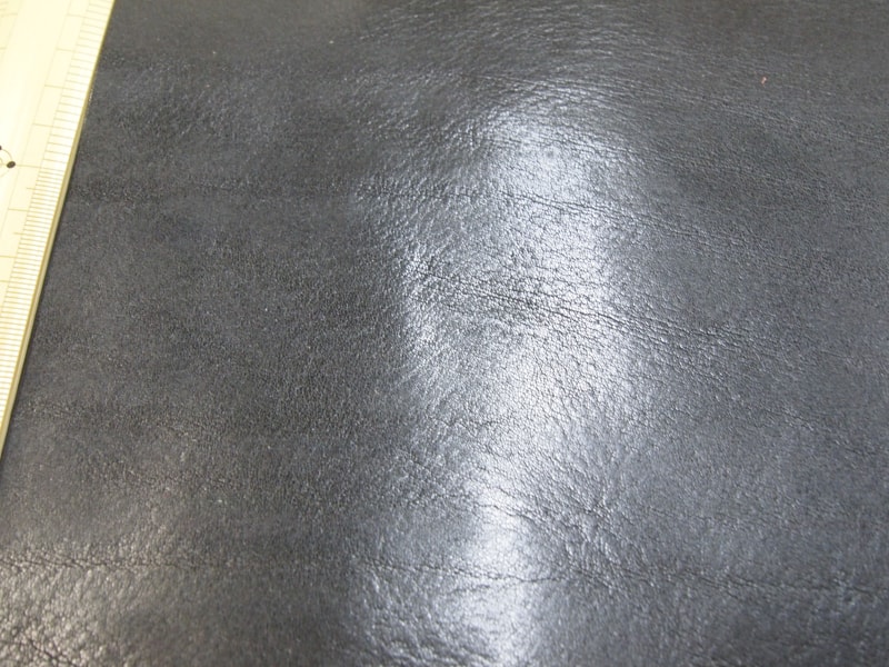 Mjpb012460