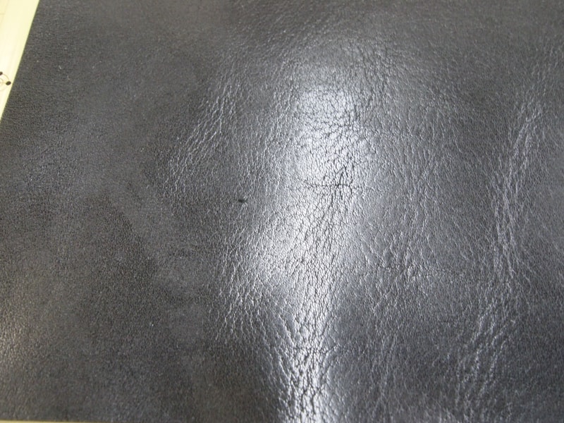 Mjpb012480