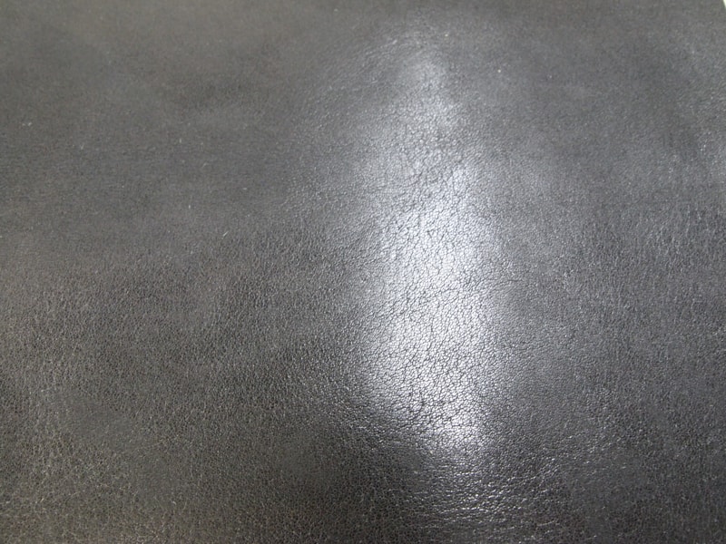 Mjpb012488