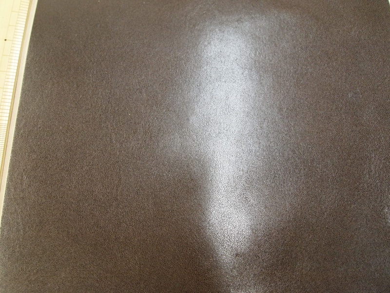 Mjpb012506