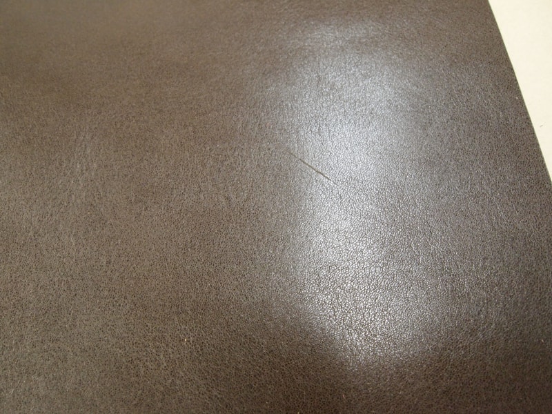 Mjpb012510