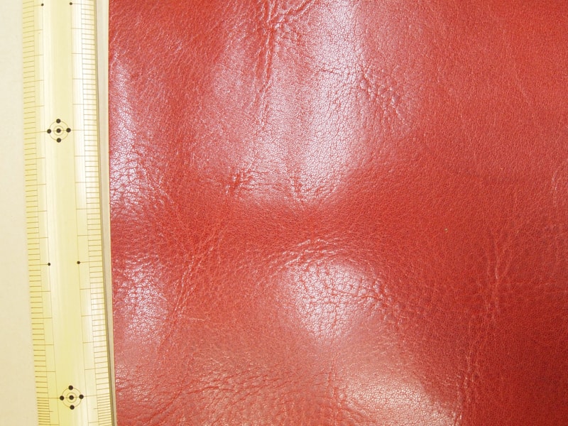 Mjpb012562