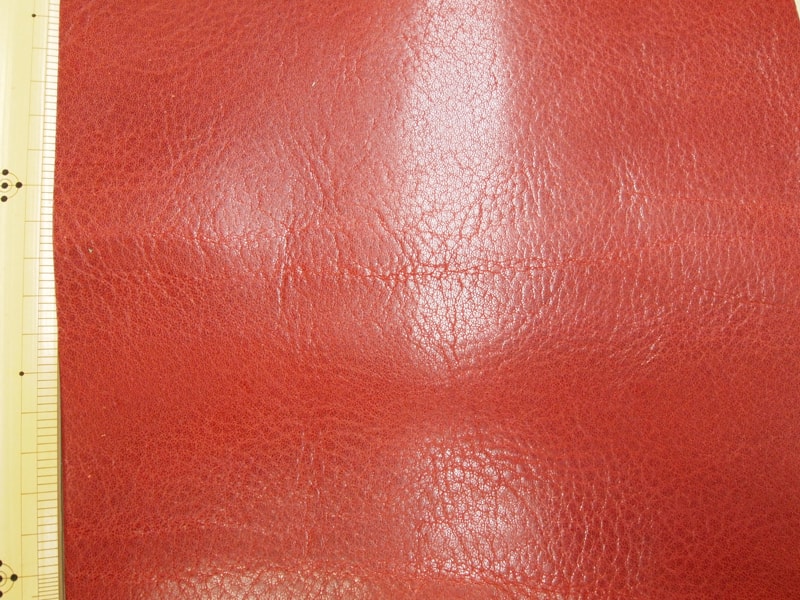 Mjpb012566