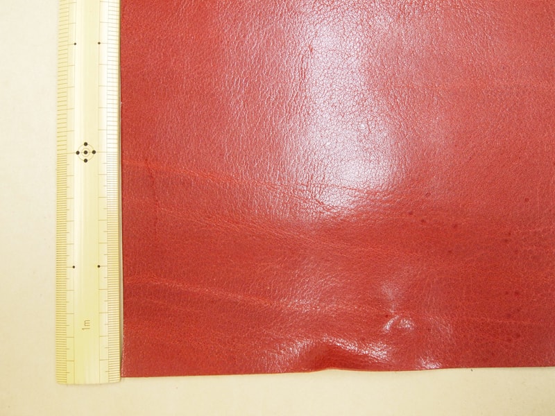 Mjpb012570