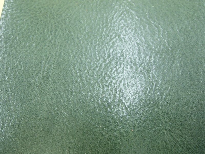Mjpb012584