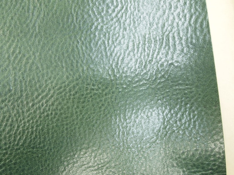 Mjpb012604