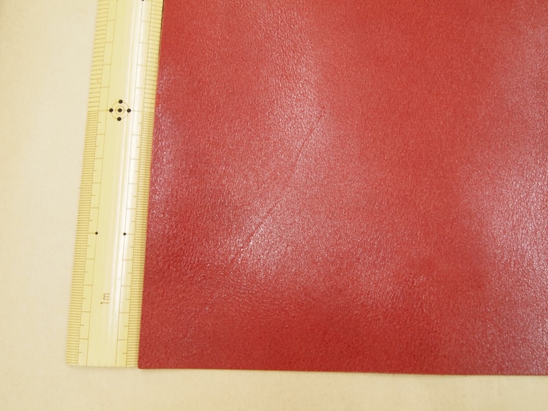 Mjpb082807