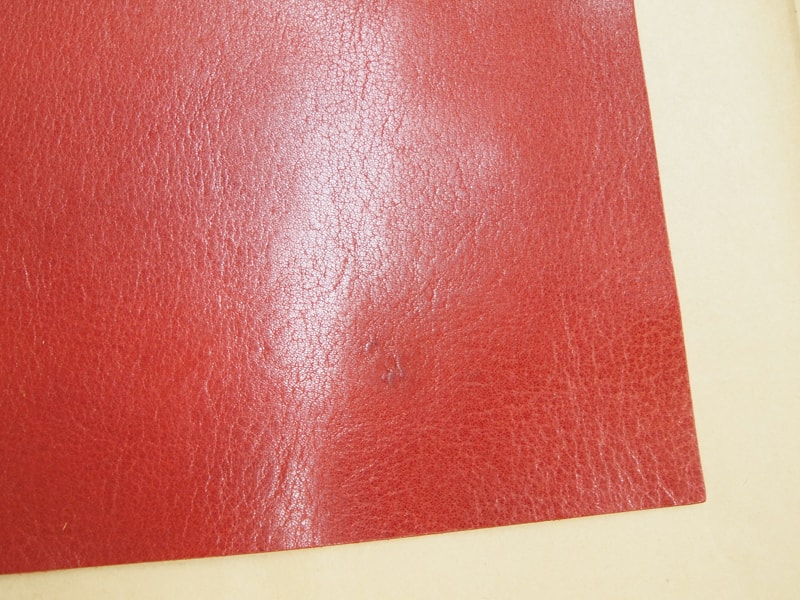 Mjpb082809