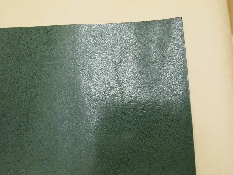 Mjpb082846